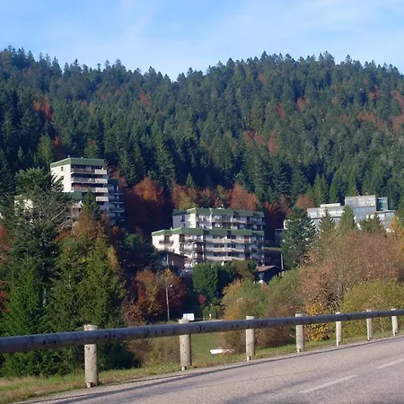 Vouille De Belle-hutte Apartment La Bresse