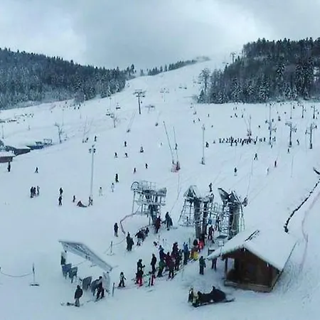 Vouille De Belle-hutte Apartment La Bresse